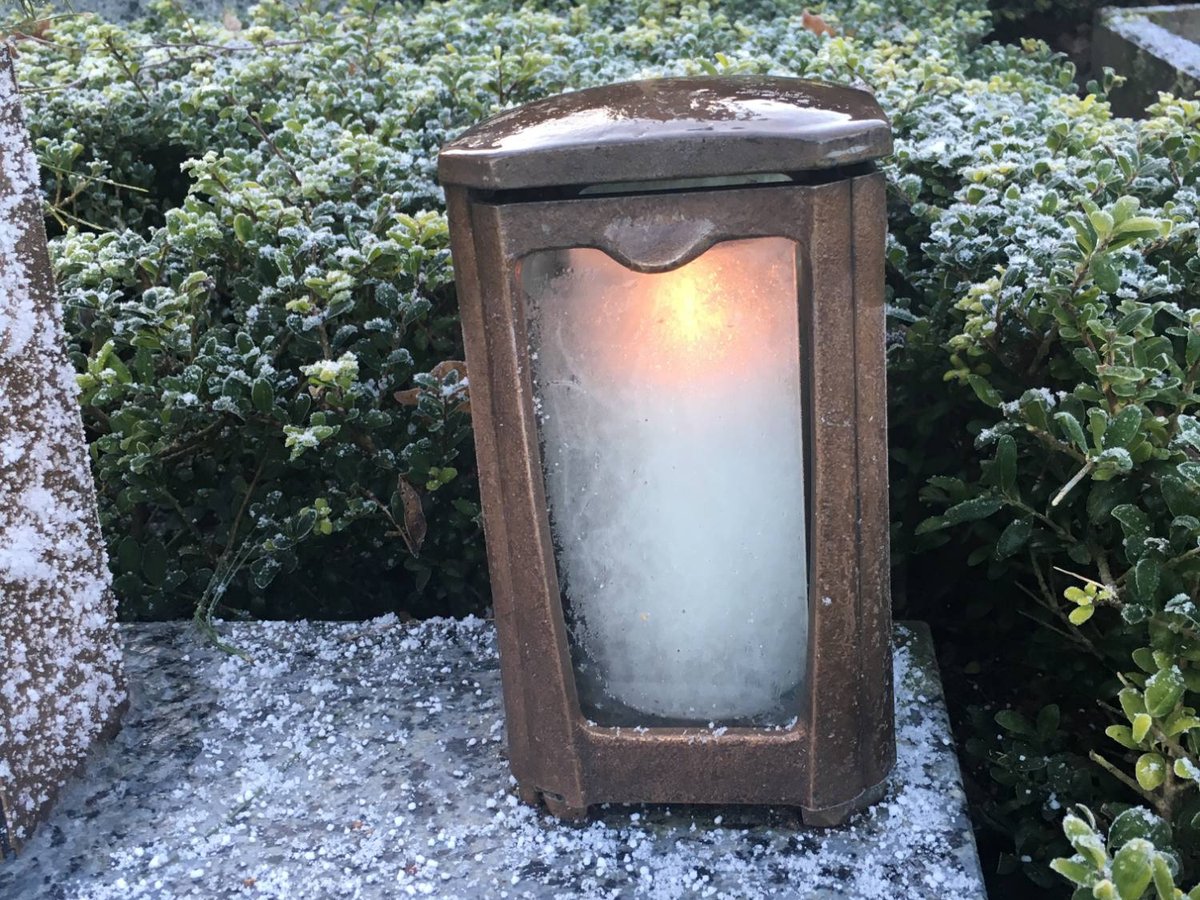 Ein brennendes Grablicht in einer bronzenen Laterne, ringsum Buchsbaum mit Raureif